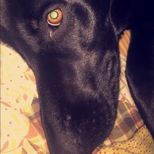 Meet your Posher, Kaitlyn